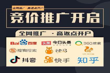 百度竞价广告与自然搜索排名的结合策略案例
